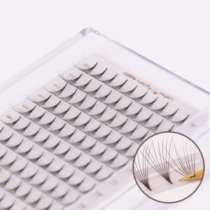 Cluster eyelash extension premade volume lashes fans 3-16d