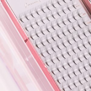 0.07MM Premade Volume Lash Fans 5-9D Volume Lashes Individual Lashes Knot Free Cluster