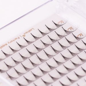 Custom Eyelash Box 3-16D C/D Curl Pre Made Fans Lashes